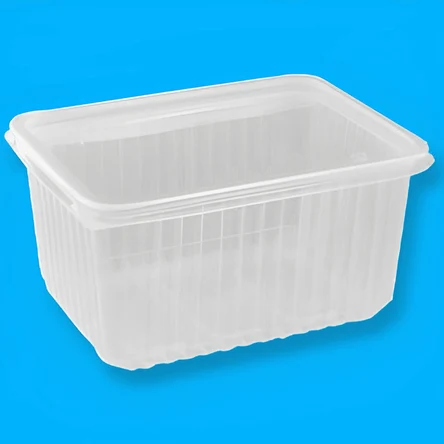 Контейнеры одноразовые