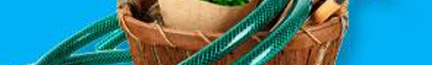 36688064-9bc6-45bc-b47d-e9b5bb6b15ba-ogorod-blue.jpg